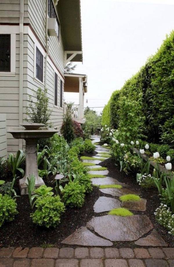 The House Side Yard Landscaping