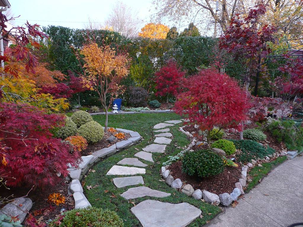 Garden Design