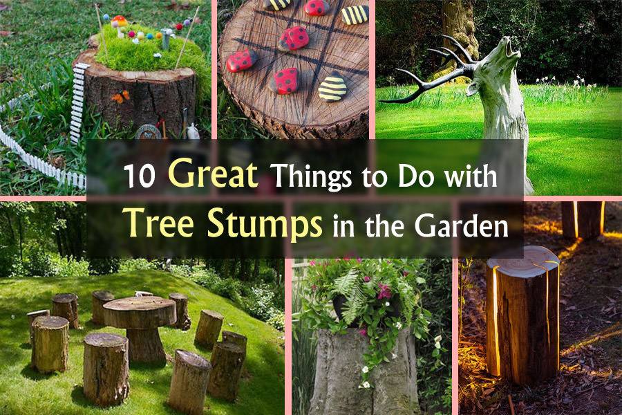 Blazing Tree Stump Planter Ideas