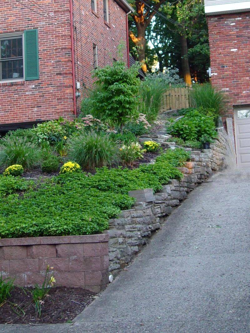 A Sloped Backyard