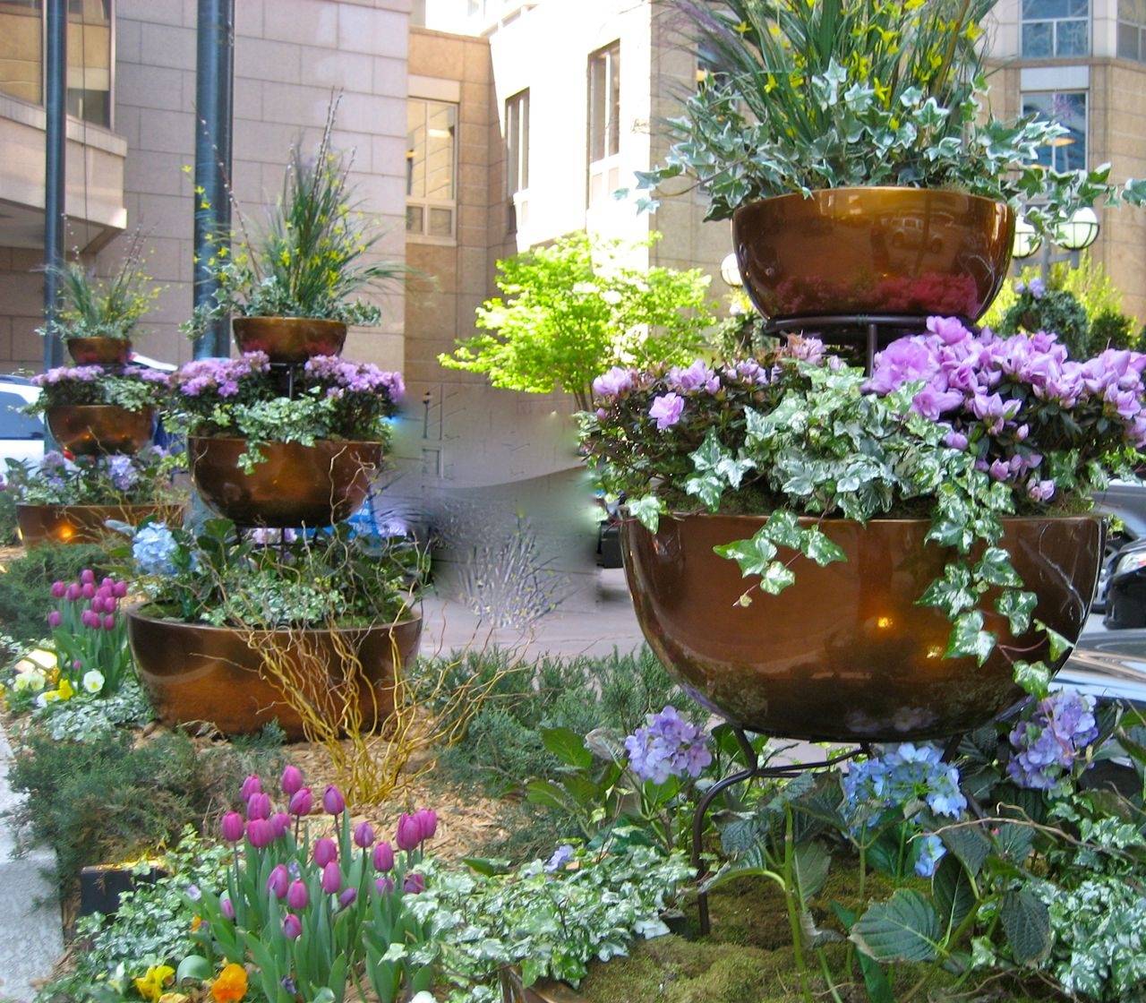 Container Gardening Ideas