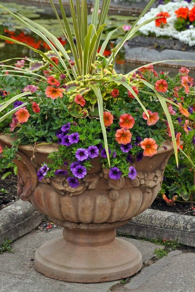 Stylish Colorful Shade Garden Pots Ideas
