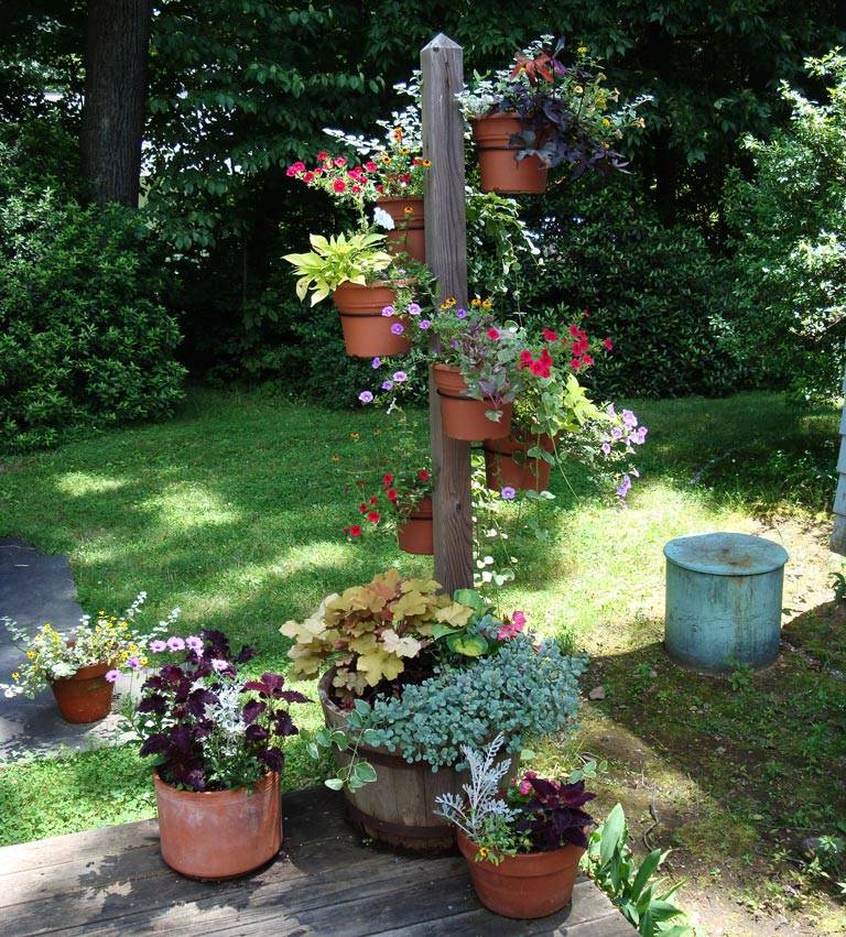 Container Garden Tips