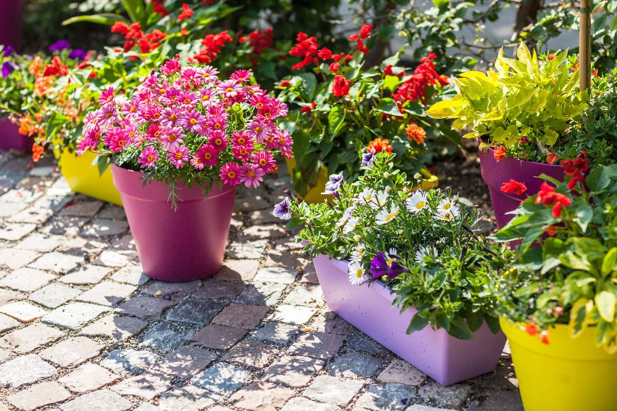 Container Gardening Ideas Quiet Corner