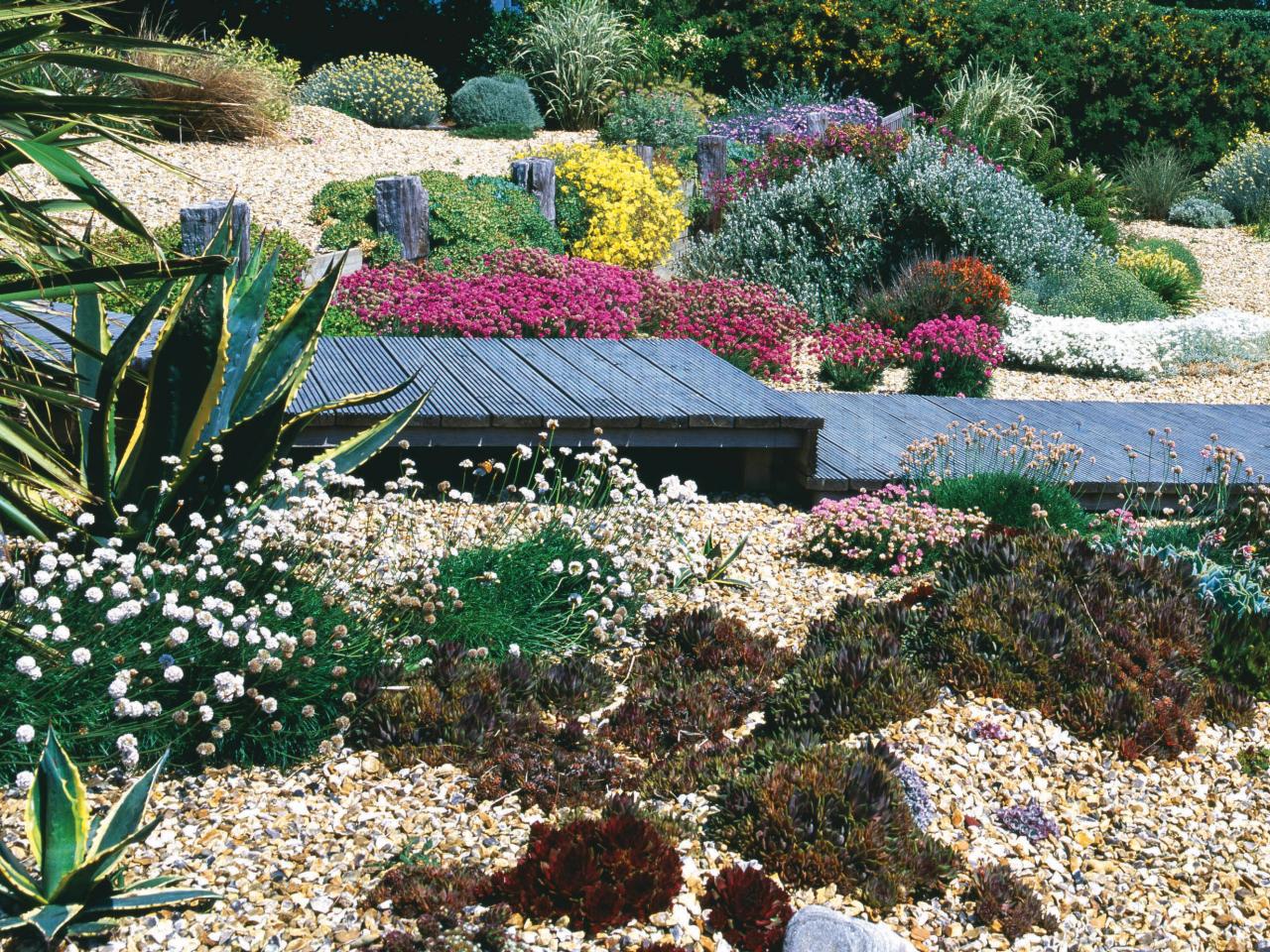 Sunlit Beach Seaside Themed Garden
