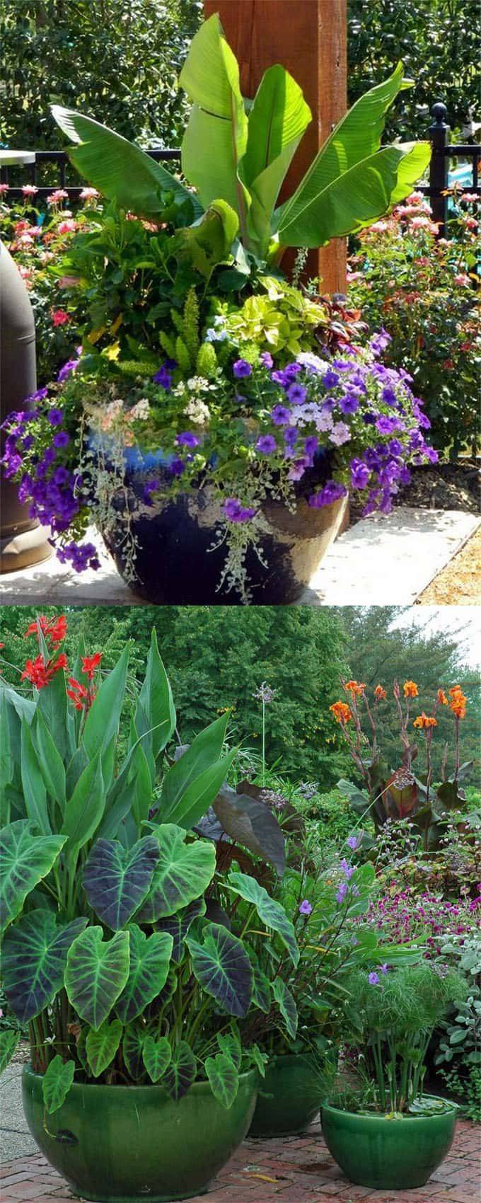 Best Patio Container Garden Design Ideas
