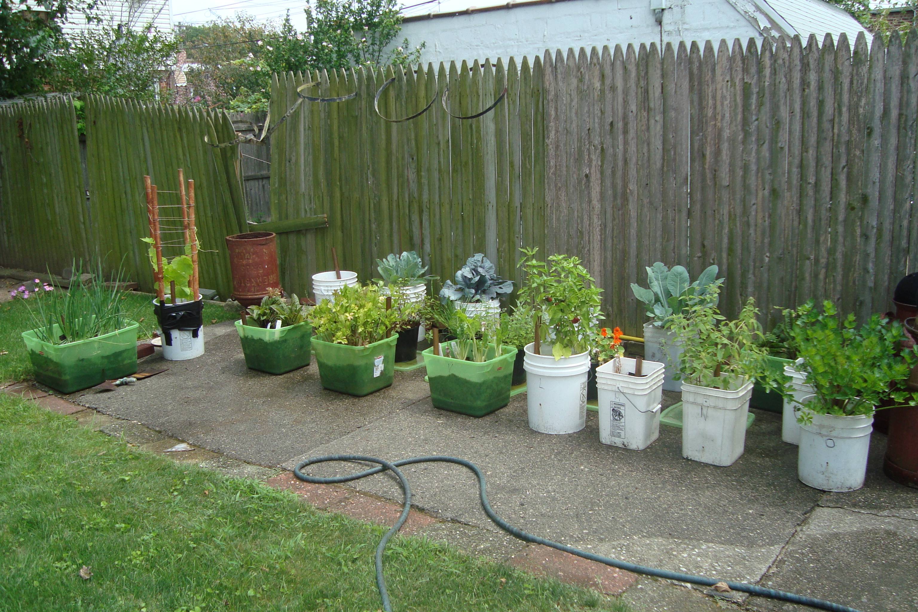 Easy Container Vegetable Garden Ideas