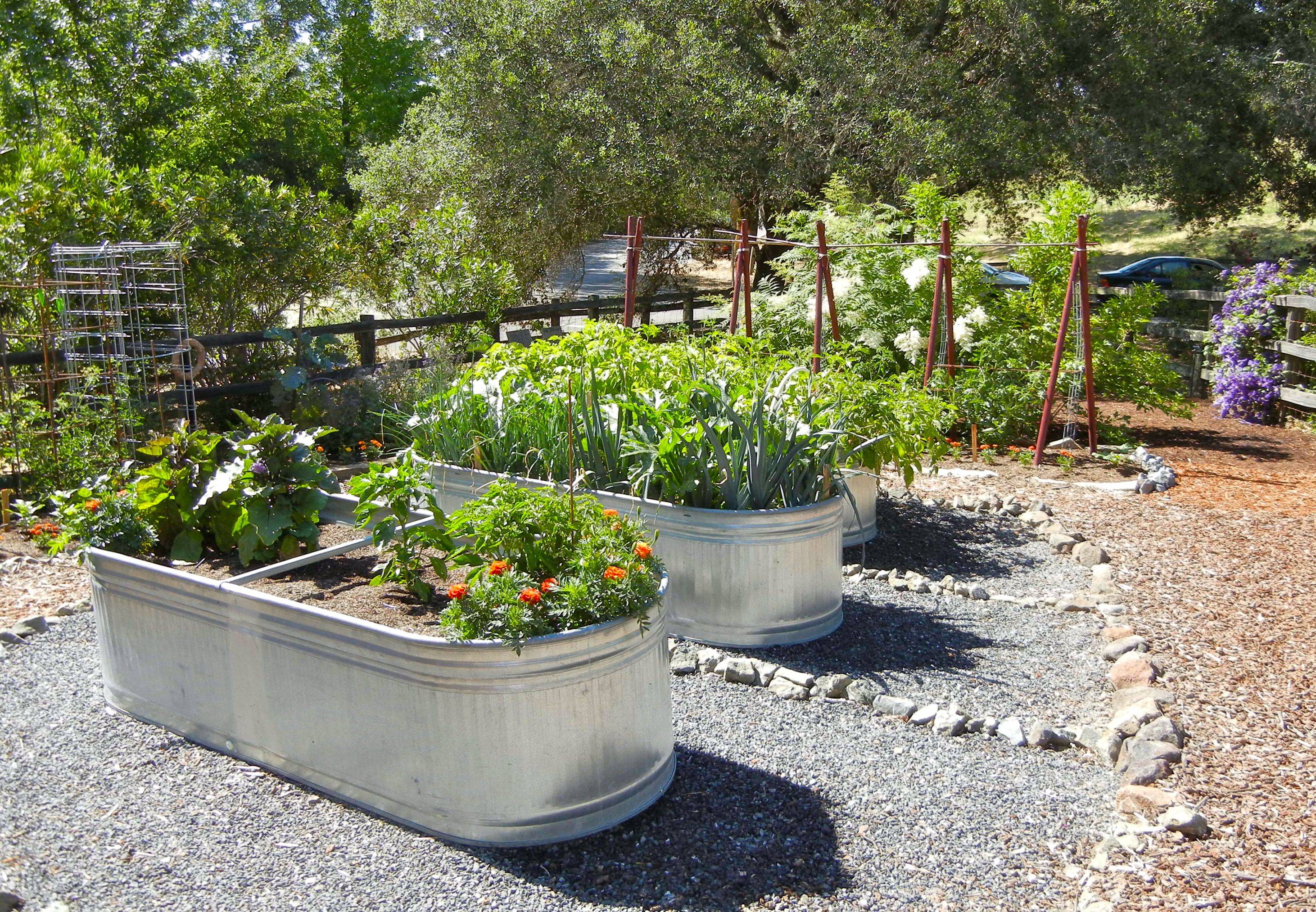 Stunning Container Vegetable Garden Design Ideas