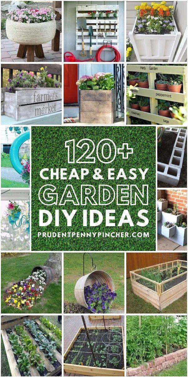 20 Cheap Garden Accessories Ideas Worth to Check SharonSable