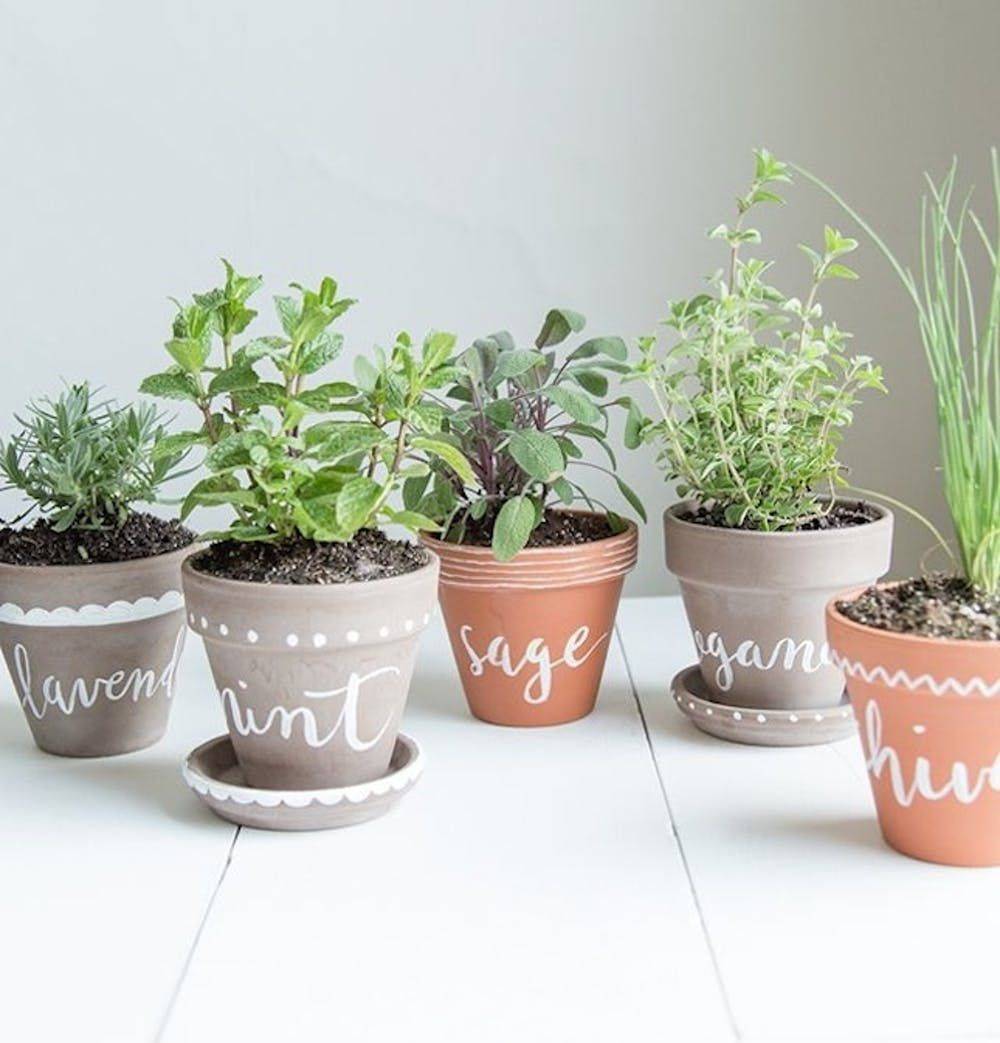 Herb Container Gardens