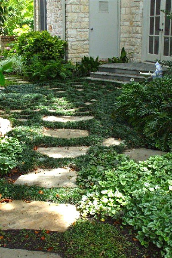 Mesmerizing Garden Stone Path