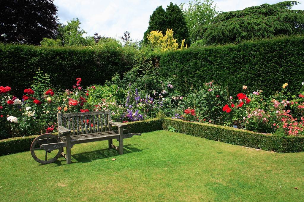Elegant Backyard Patio Design Ideas