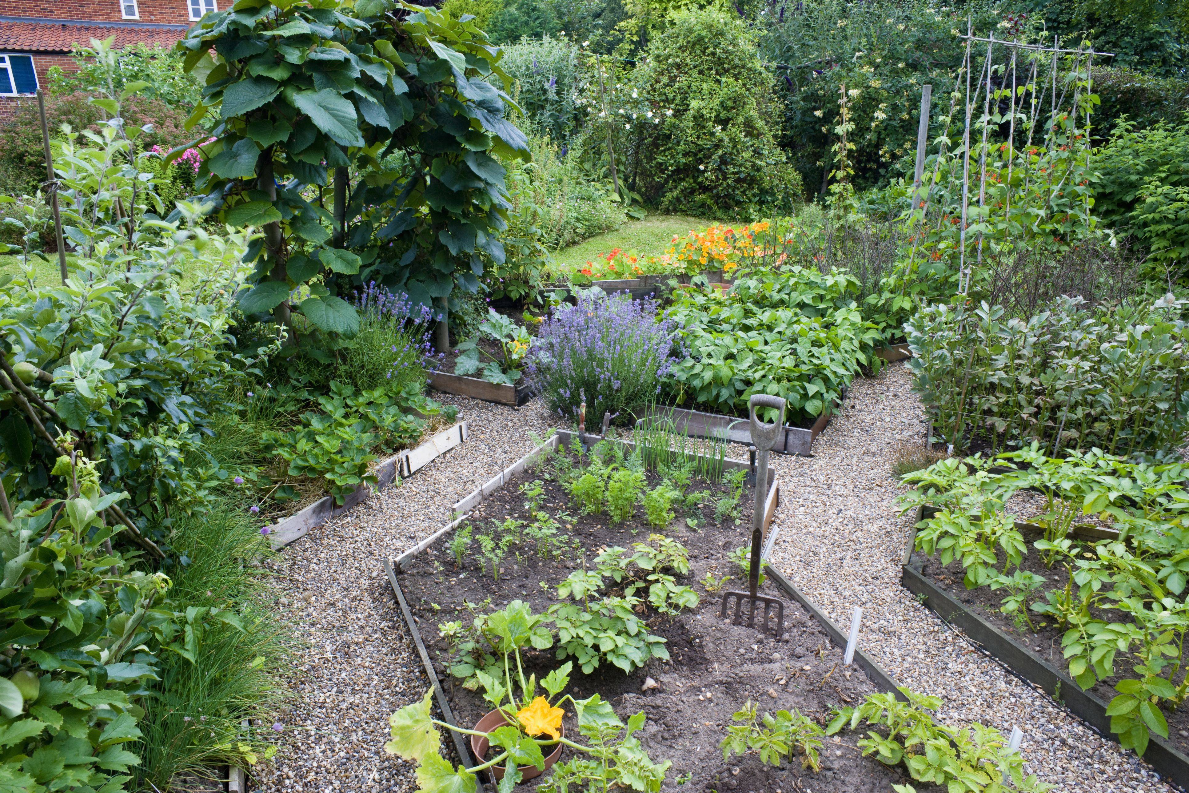 Best Formal Landscaping Ideas Images
