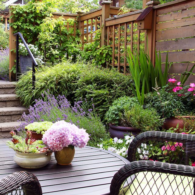 Cozy And Clean Small Courtyard Ideas