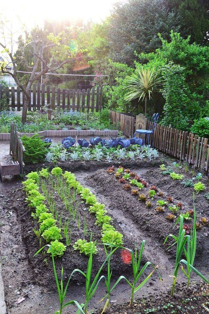 Beautifuly Colorful Vegetable Garden Design Ideas Page