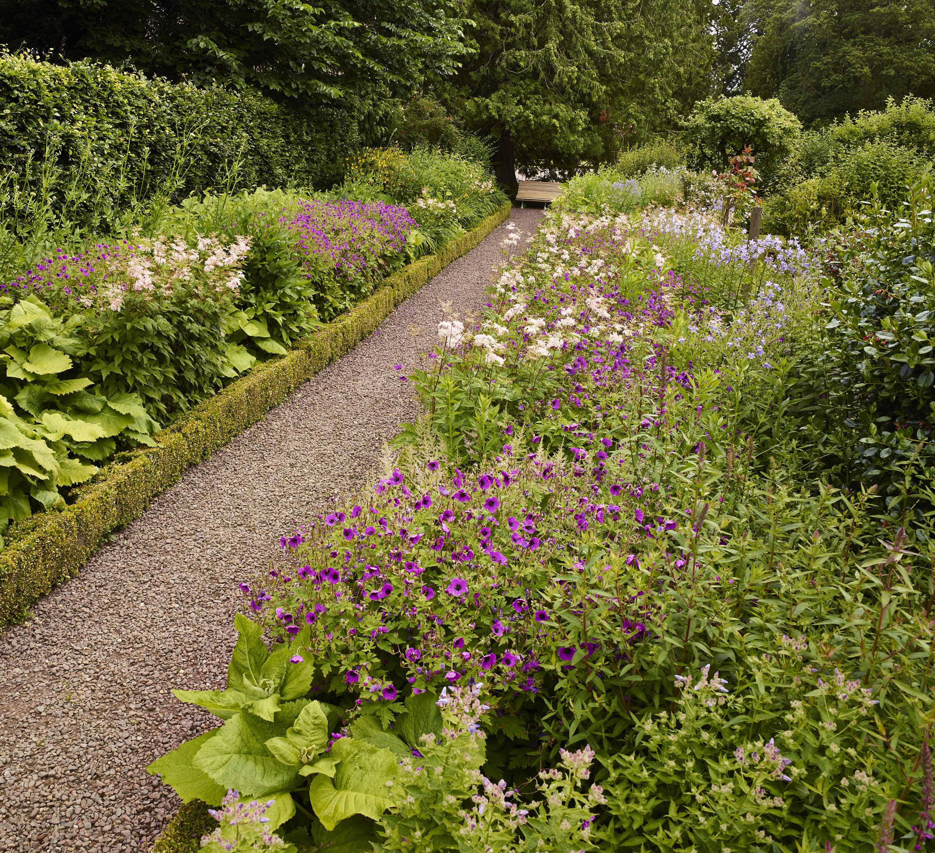 Beautiful Container Gardening Ideas Container Gardening Patio