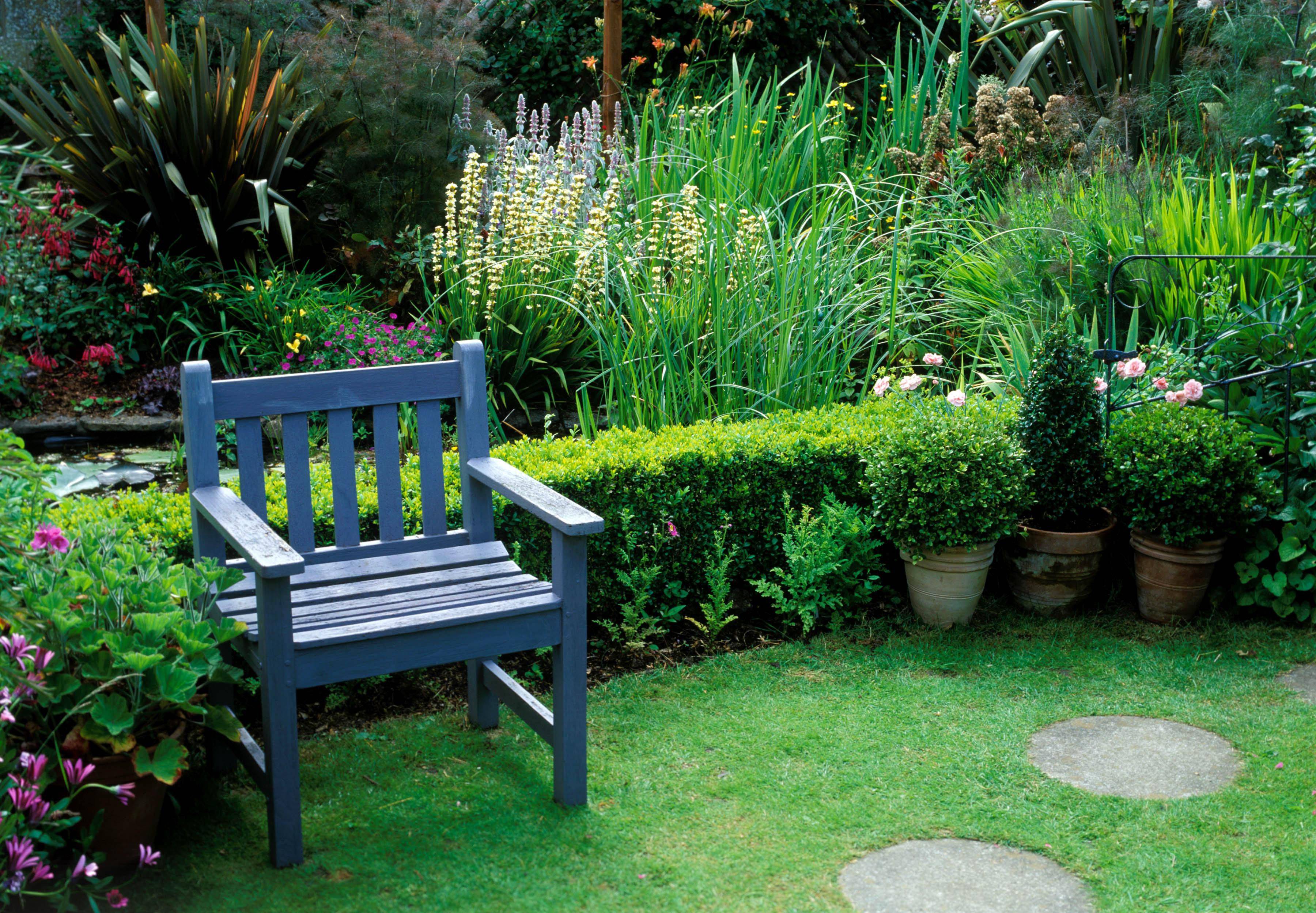 Backyard Garden Layout
