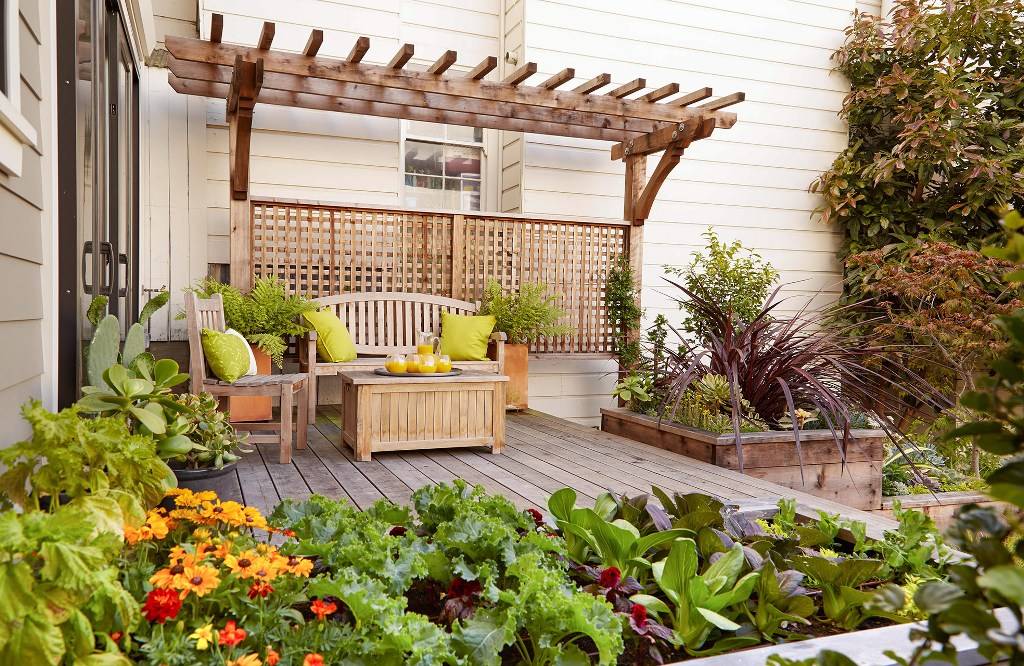 Modern Edging Ideas