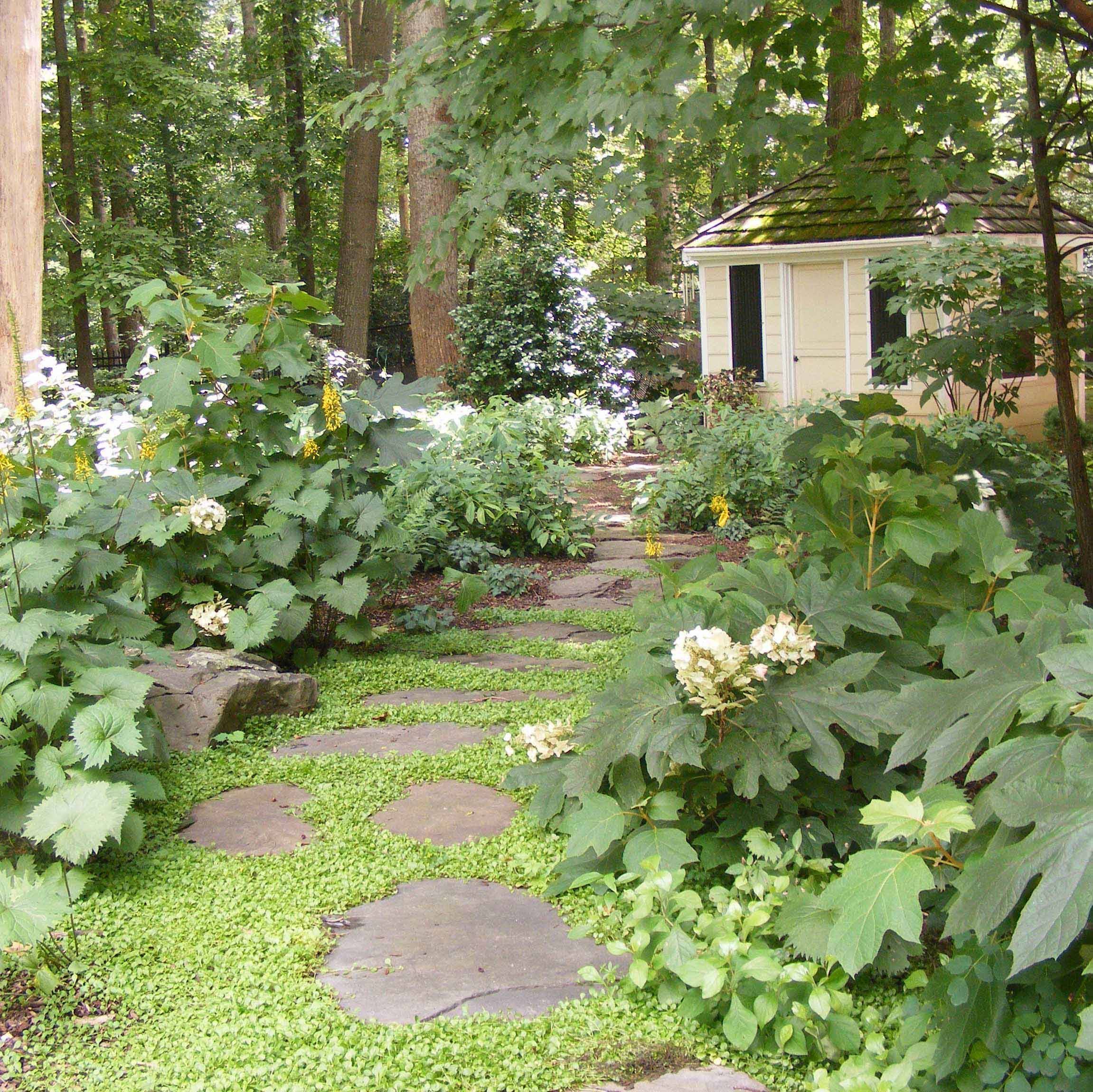 Fantastic Woodland Garden Design