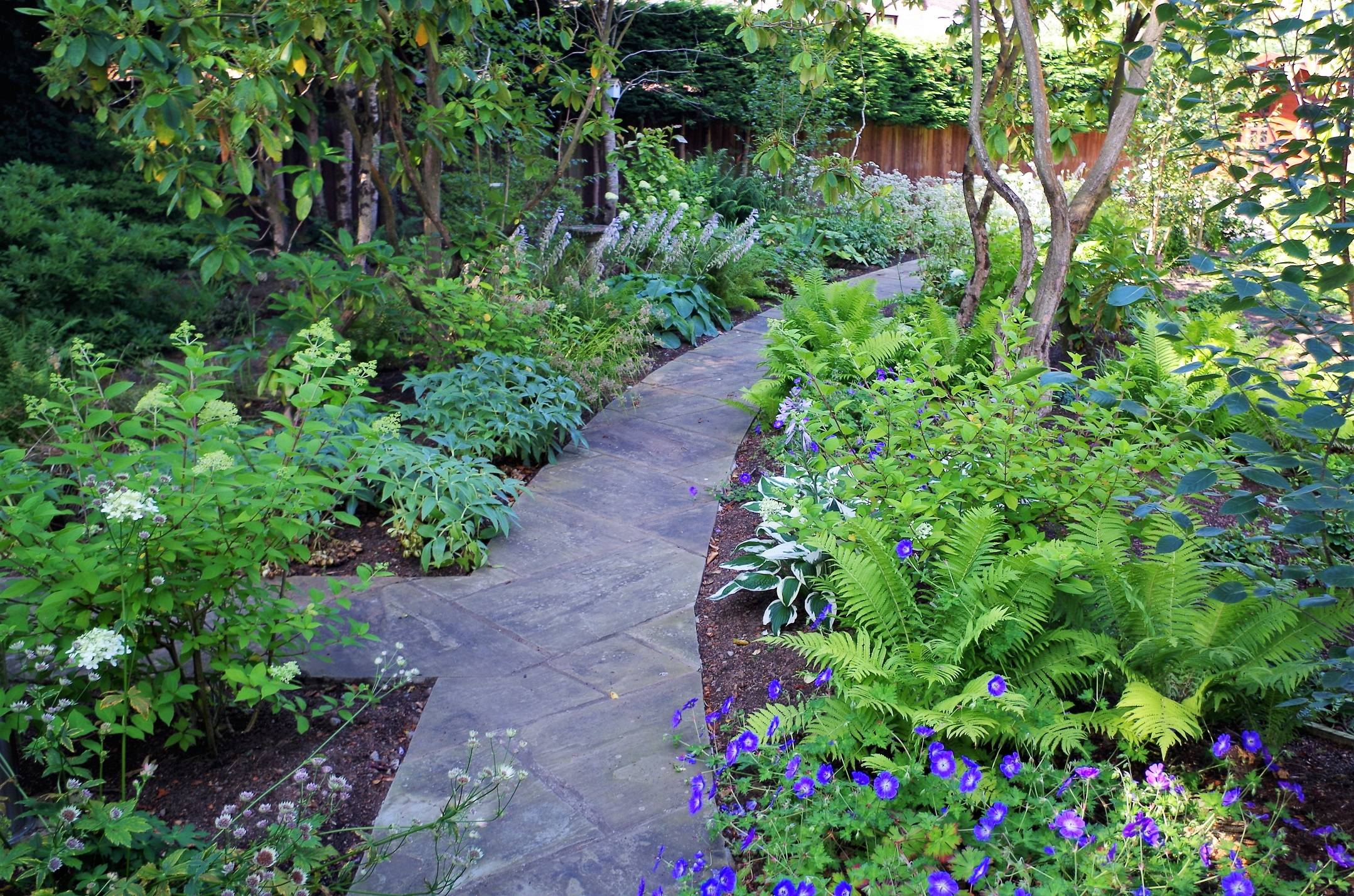 Natural Woodland Garden Designs