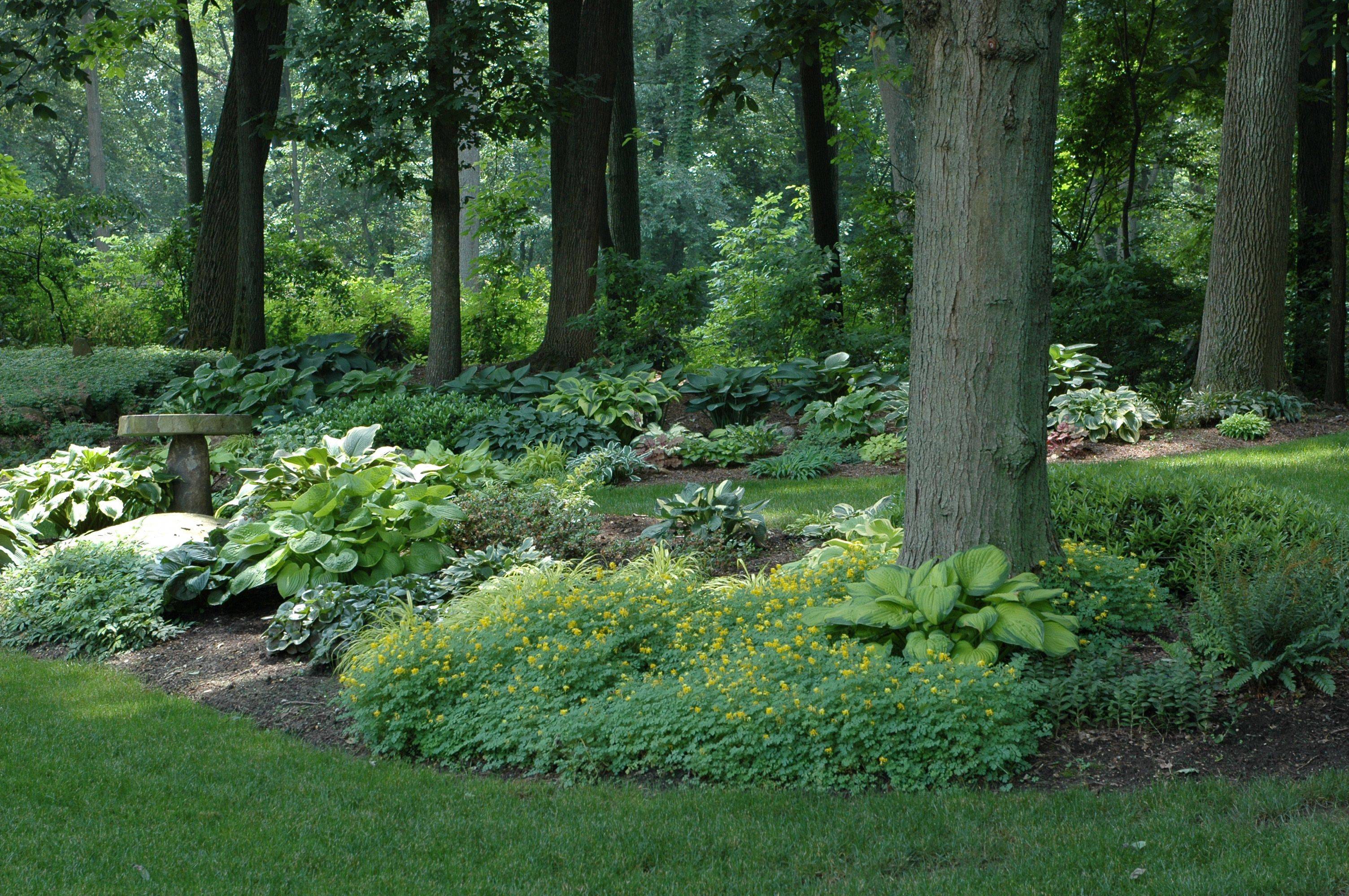 Gorgeous Woodland Garden Landscaping Design Ideas