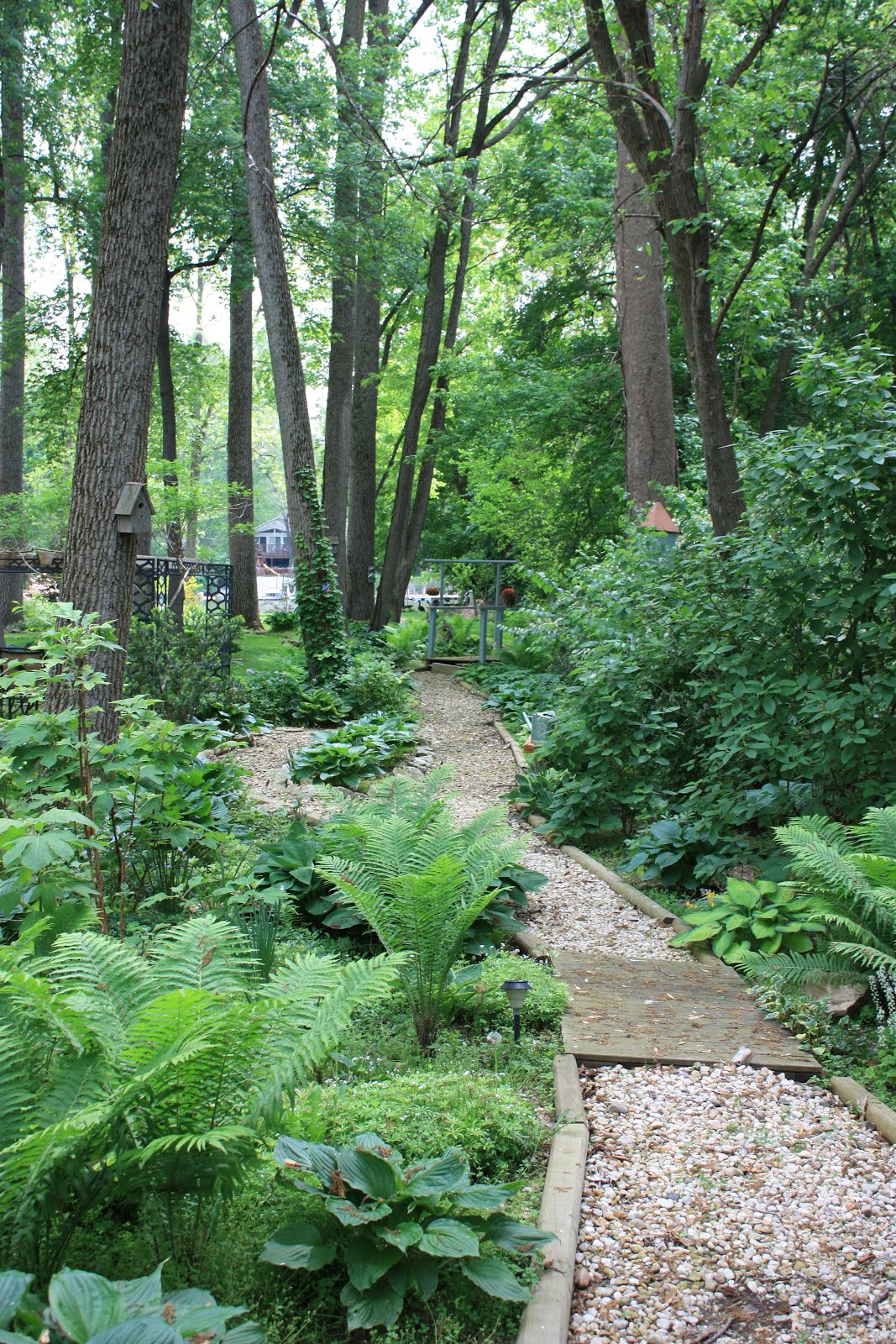 Eden Forest Garden