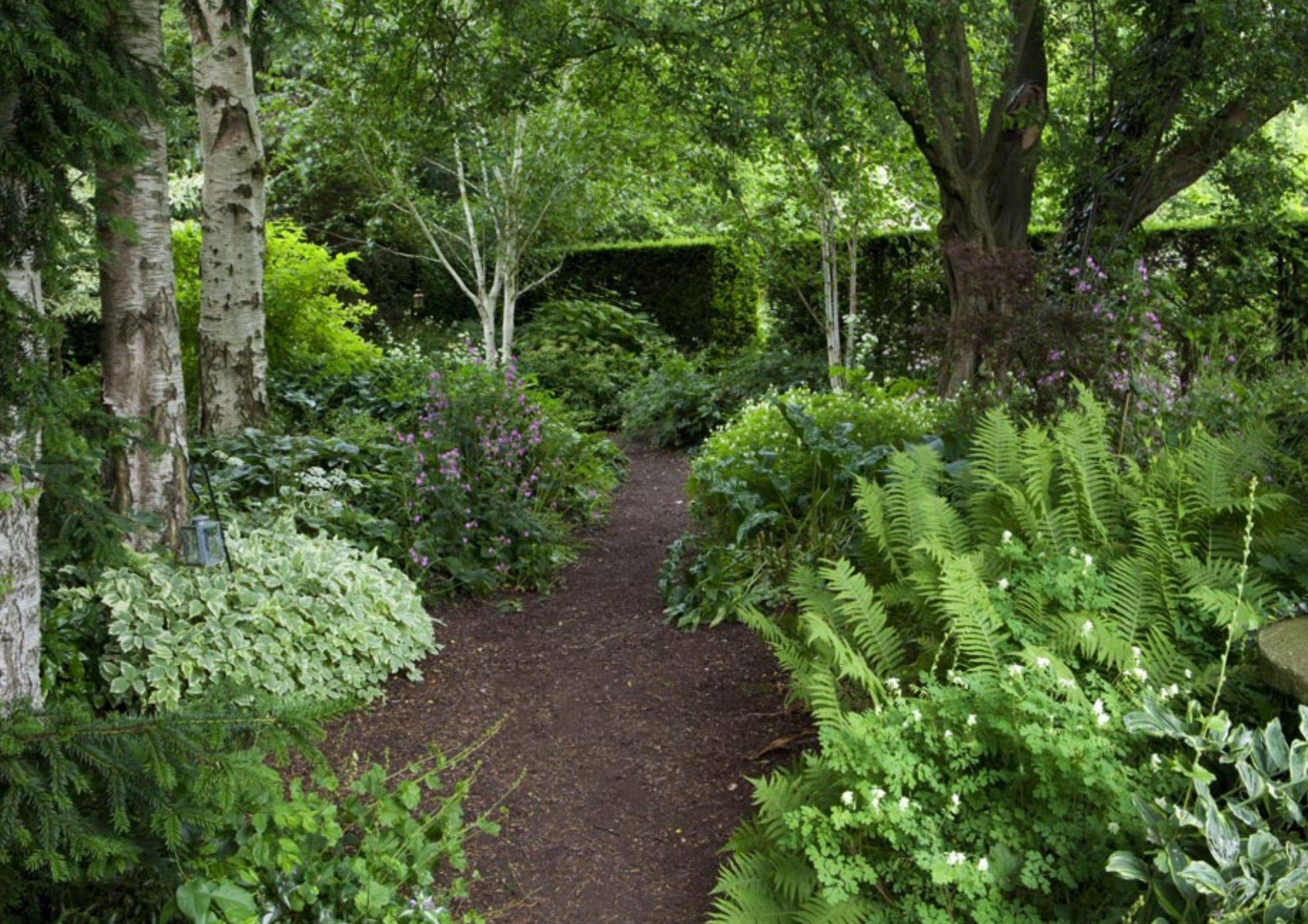 Shady Gardens Design Ideas Woodland Garden