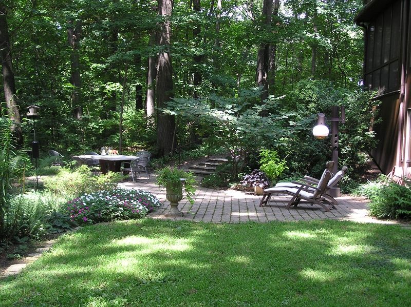 Our Woodland Garden Ideas