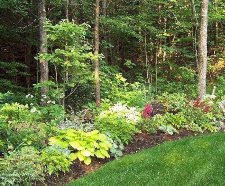 Tamar Carson Landscaping Yelp Backyard Garden