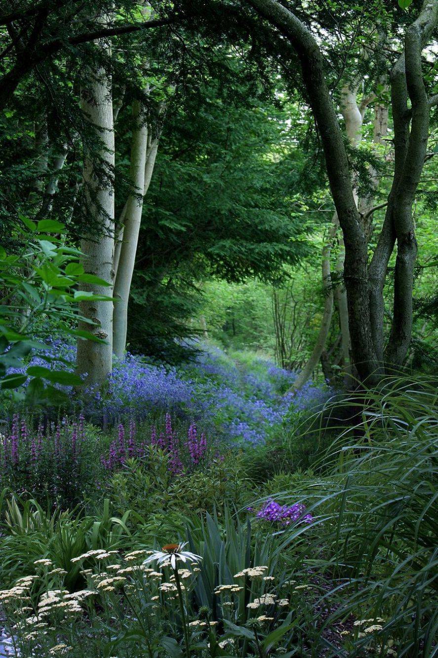 Gorgeous Woodland Garden Landscaping Design Ideas