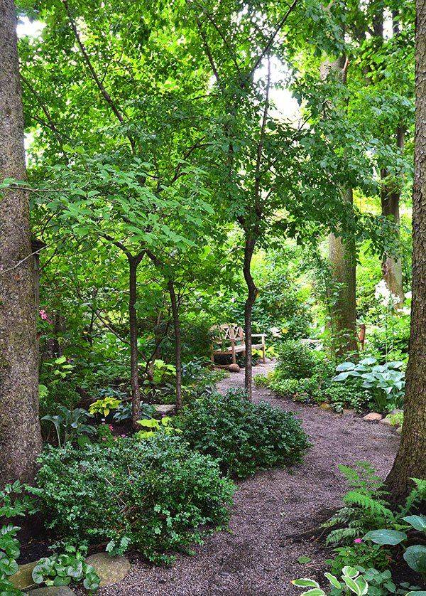Gorgeous Woodland Garden Landscaping Design Ideas
