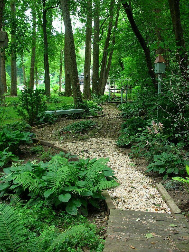 Eden Woodland Garden