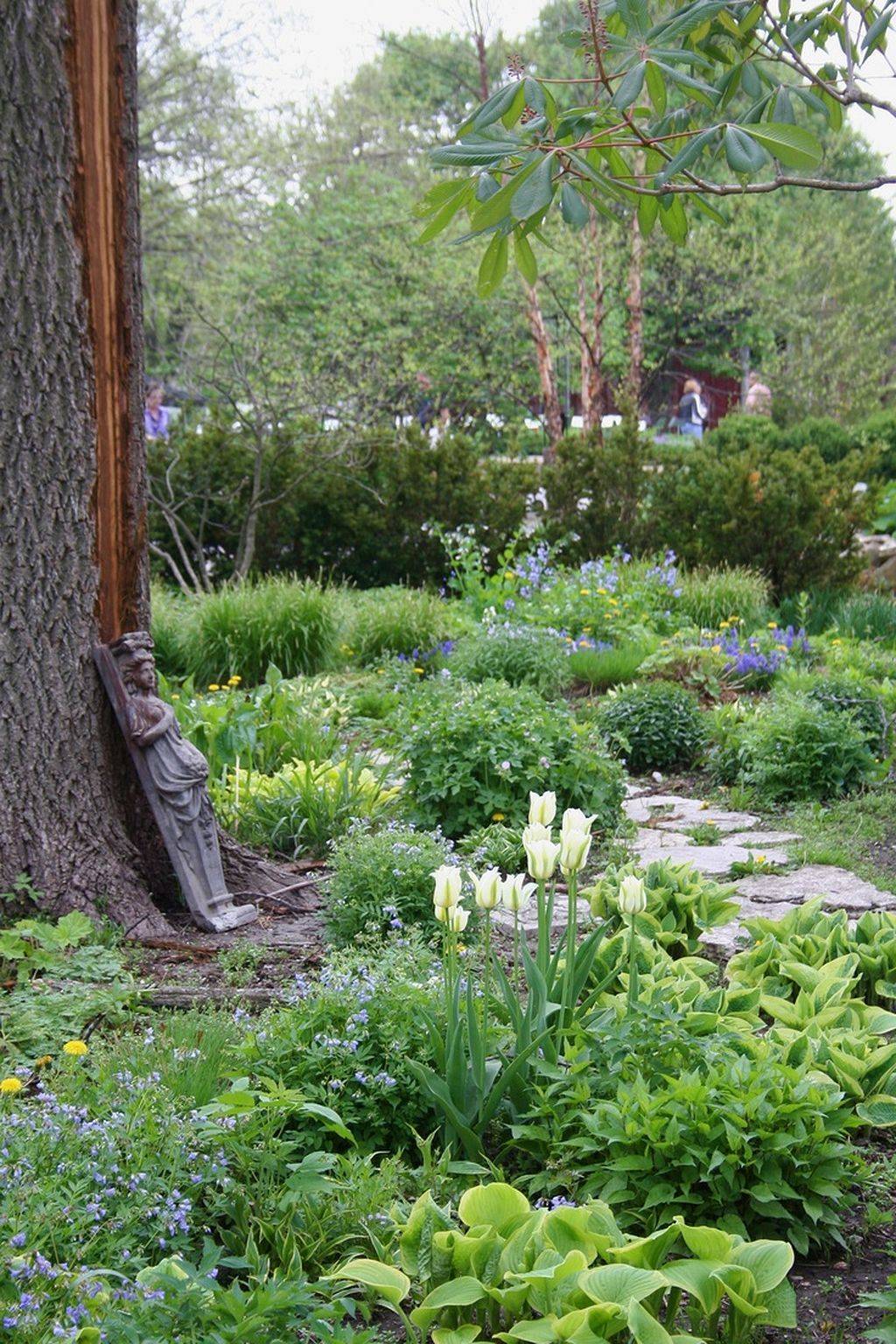 Design Woodland Garden Ideas
