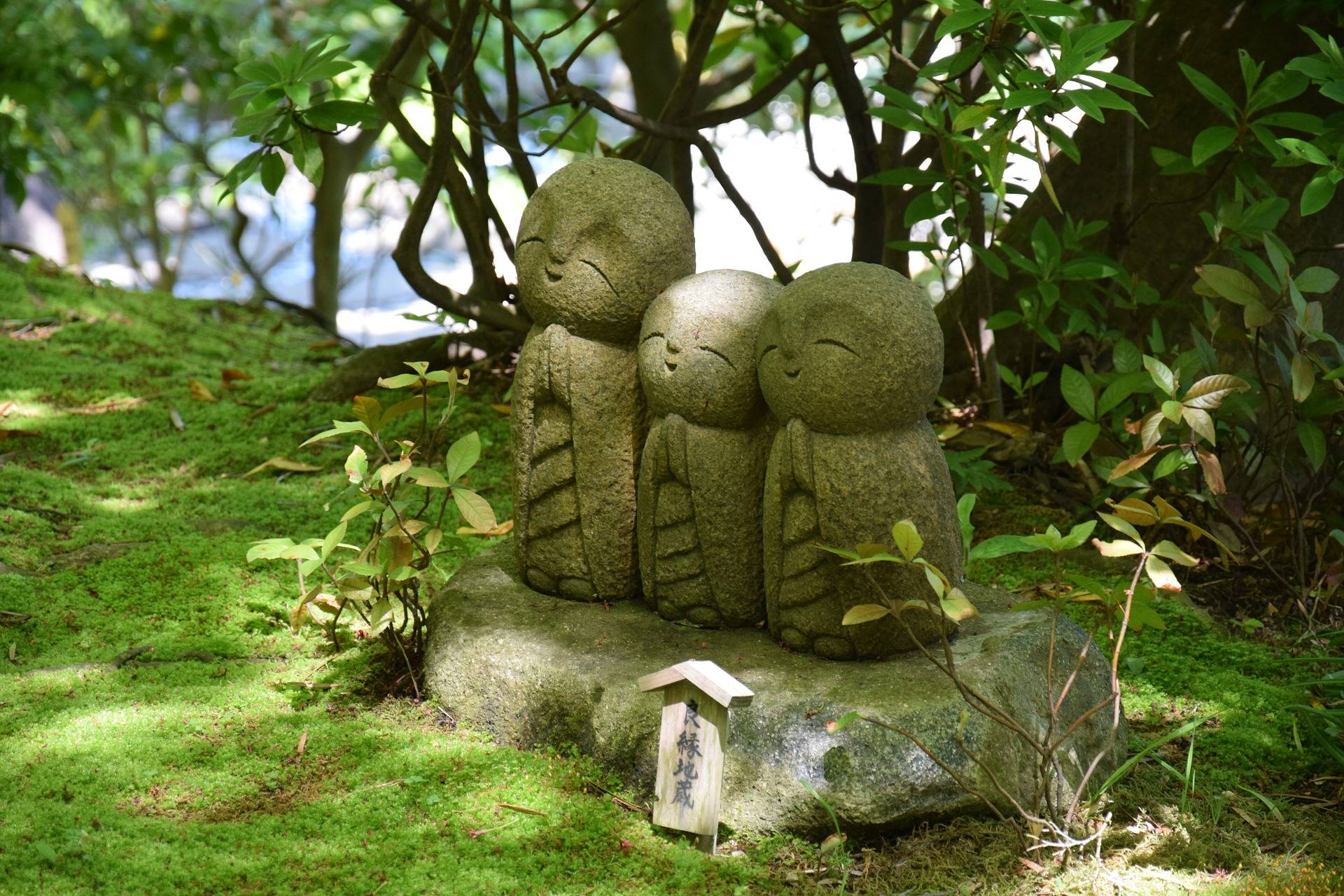 Gardens Portland Landscaping Company Landscape East