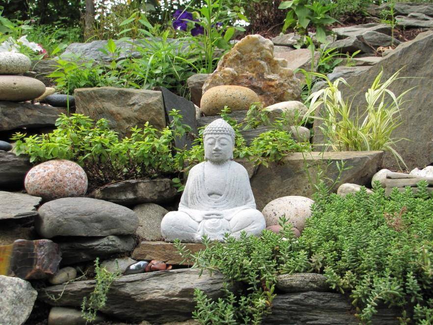 Synergy Landscape Landscape Design