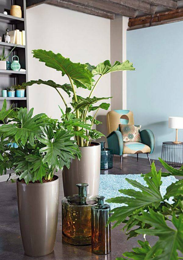 Feng Shui Garden Design Ideas