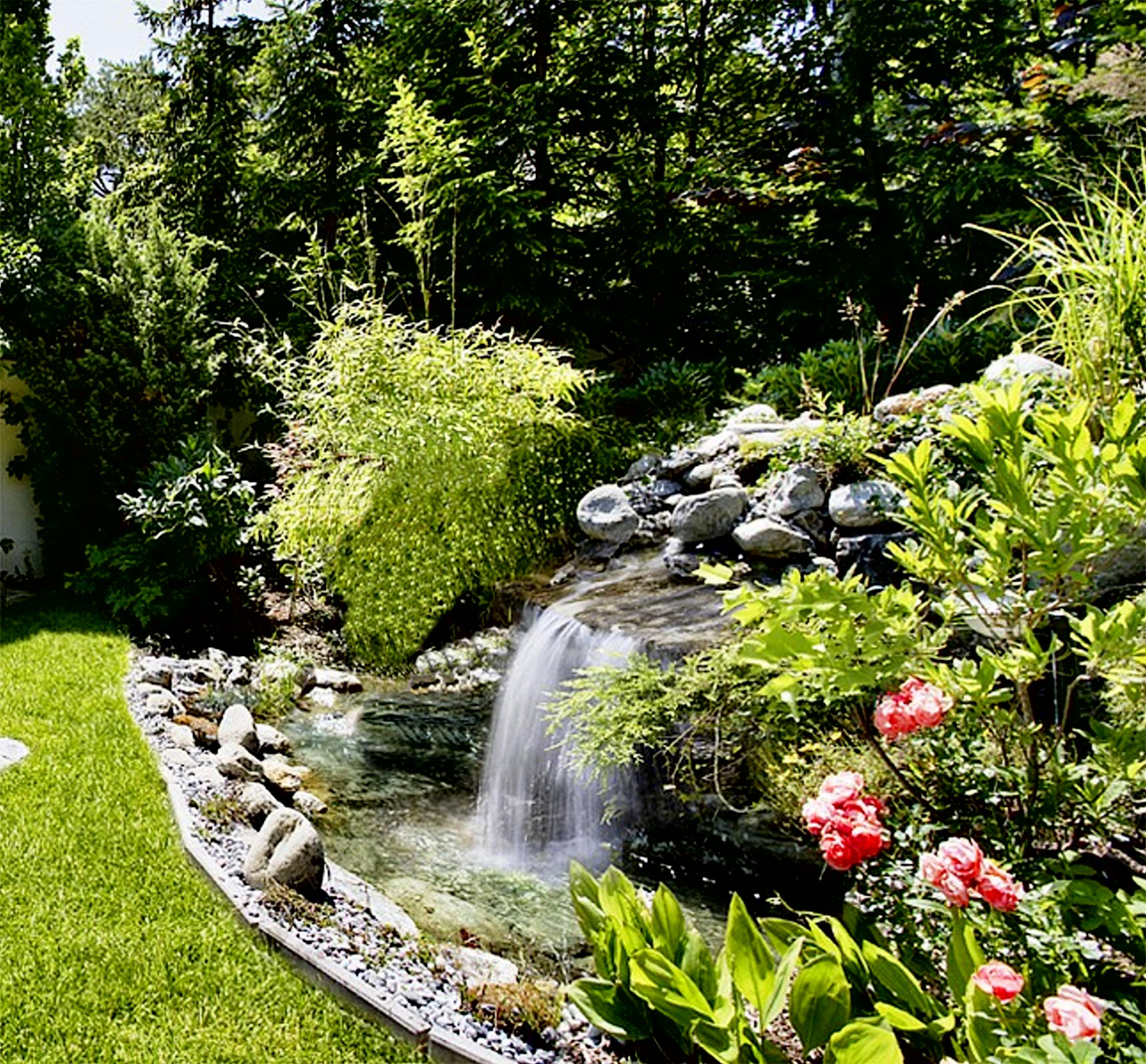 A Gorgeous Feng Shui Garden