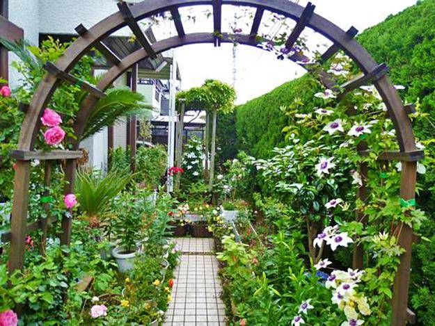 The Garden