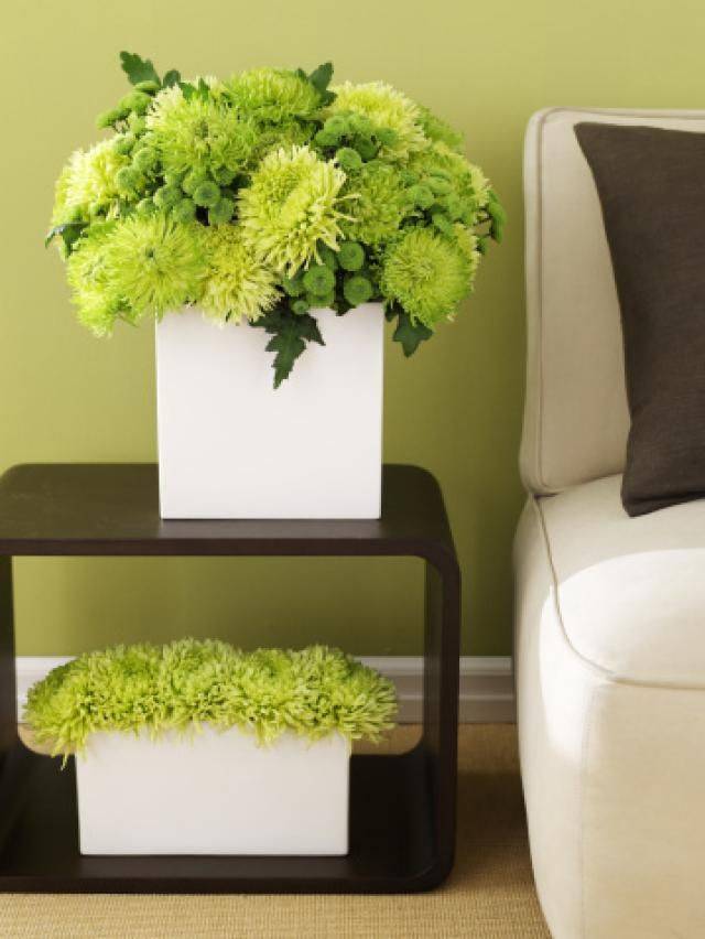 The Classical Feng Shui Bagua