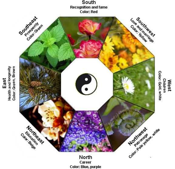 Your Garden Green Thumb