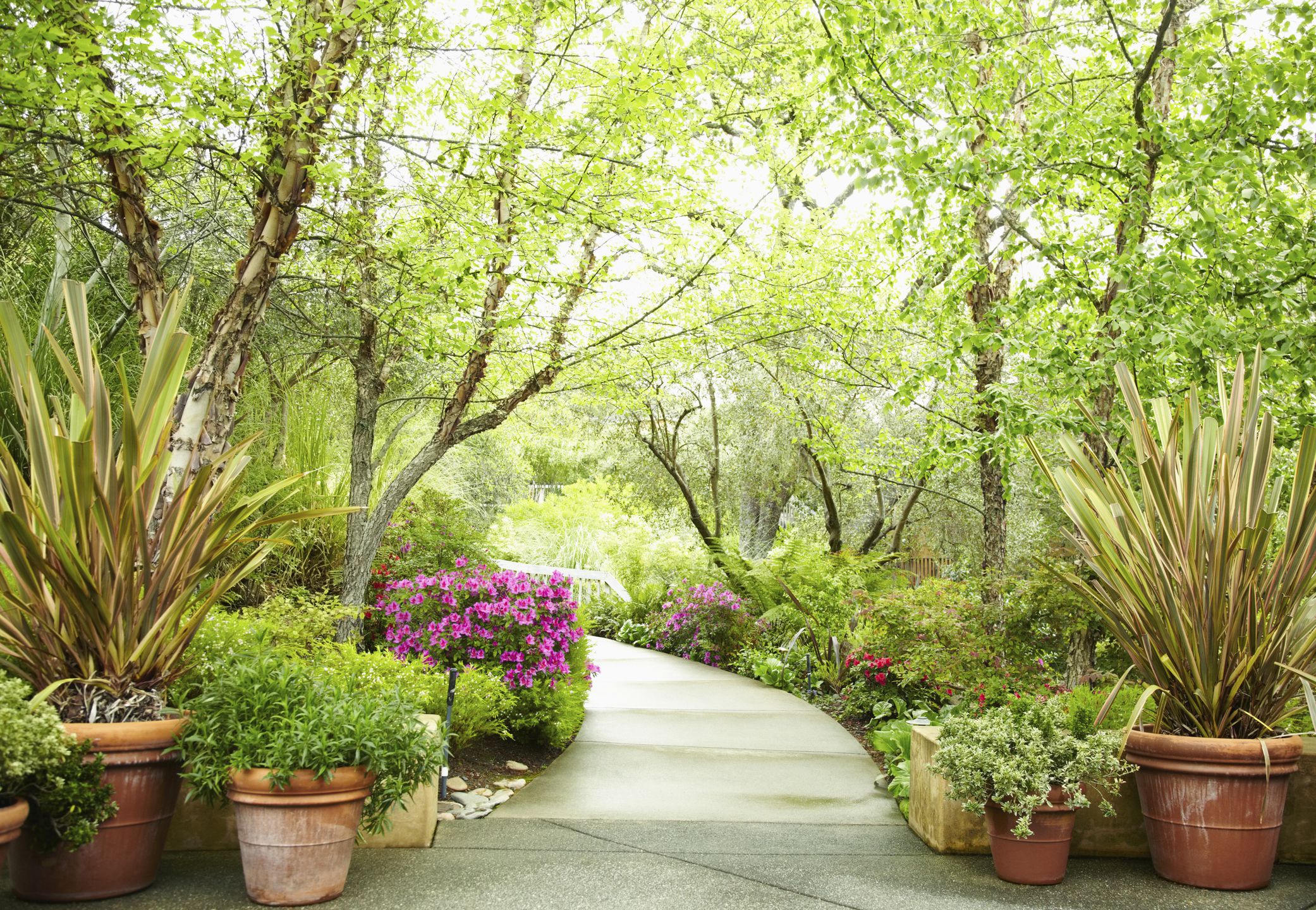 The Garden