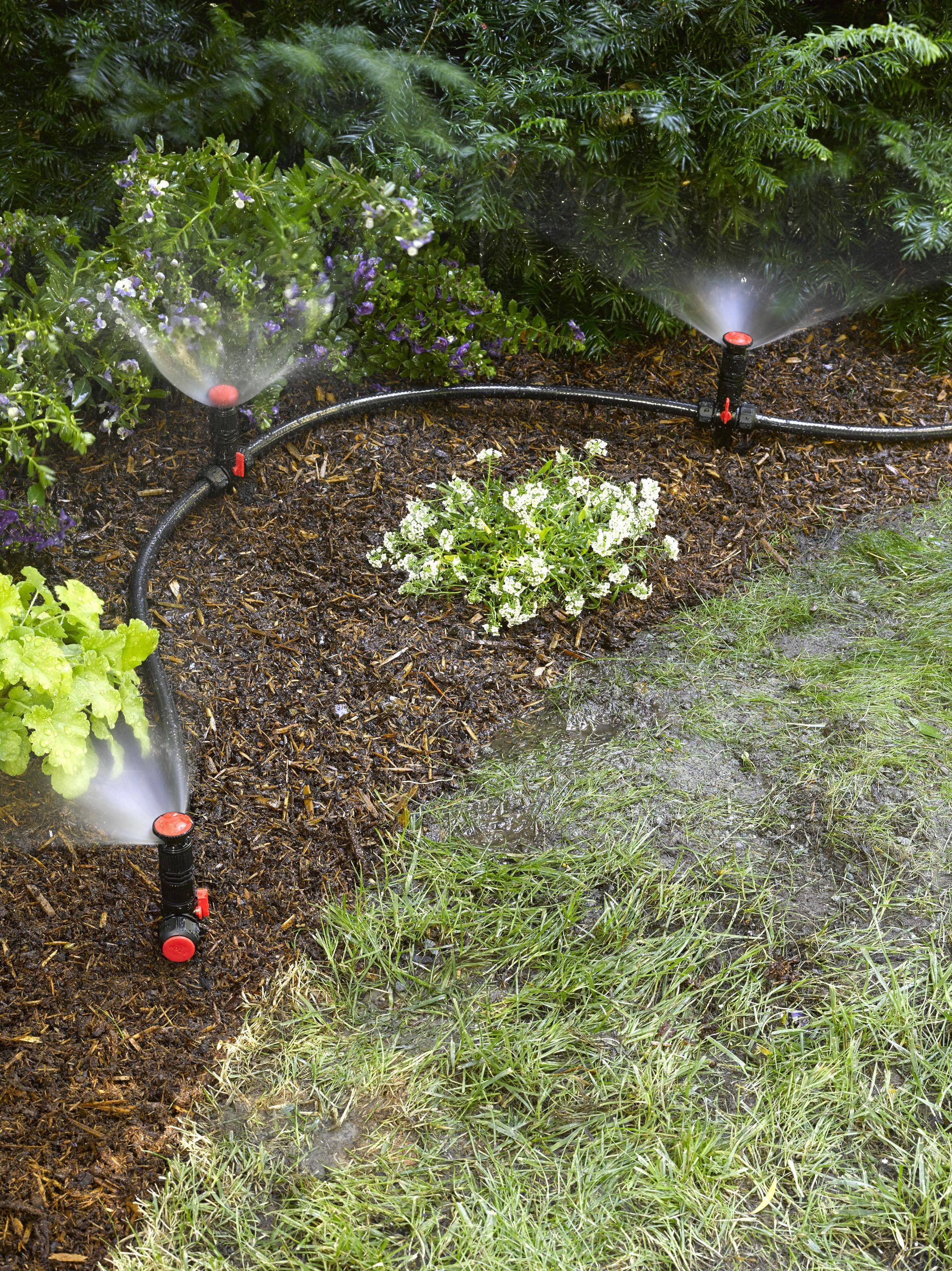 Your Yard