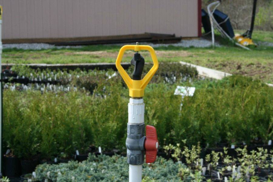 Your Yard