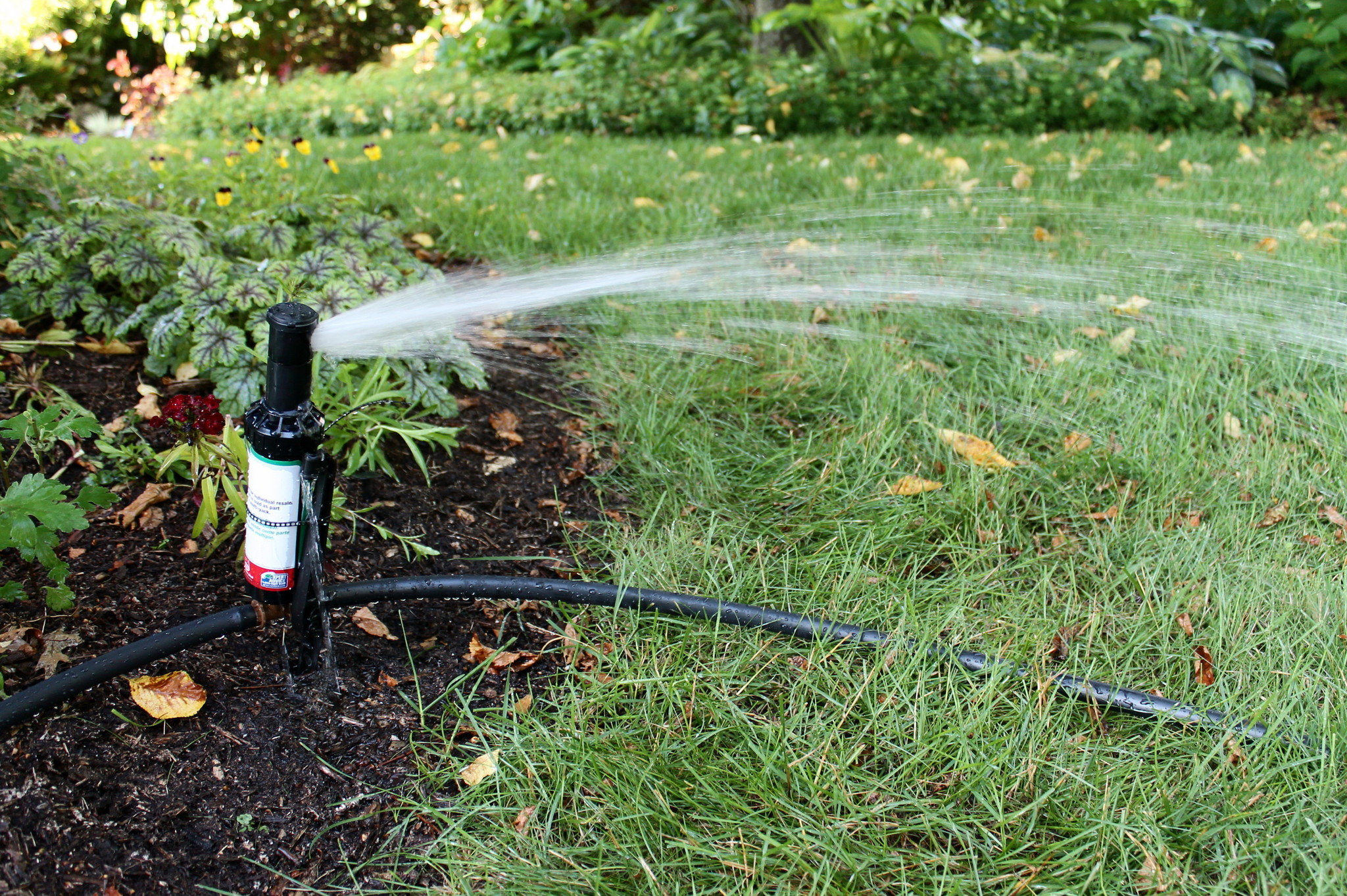Smart Plant Watering System Ideas