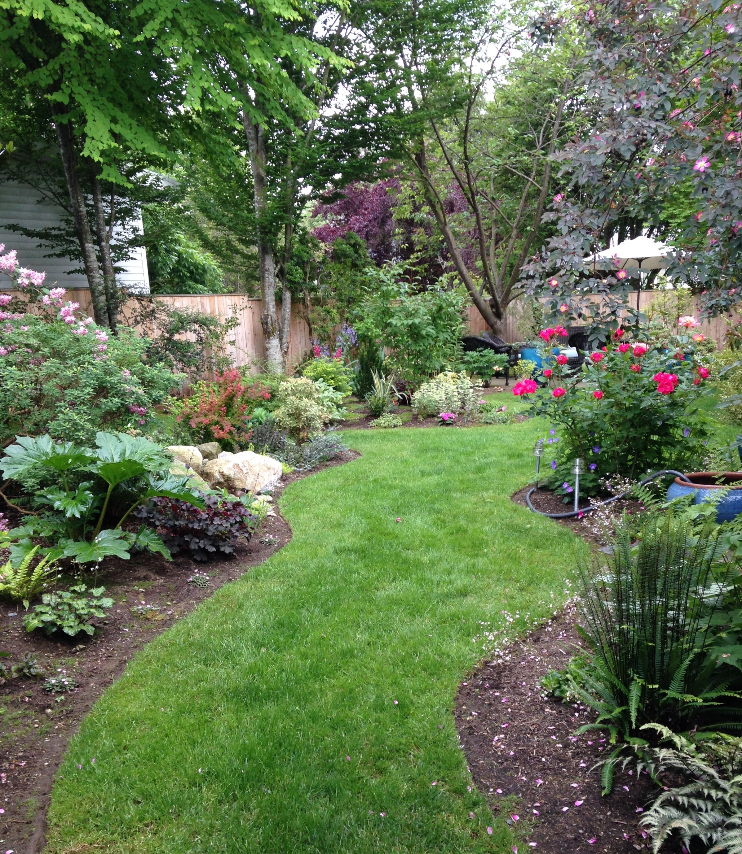 Small Backyard Ideas