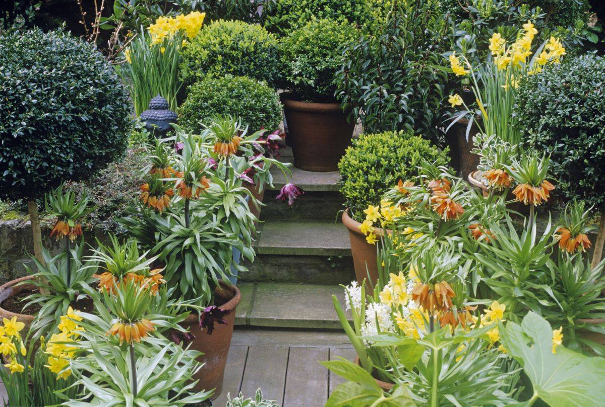 Backyard Gardens Ideas Garden