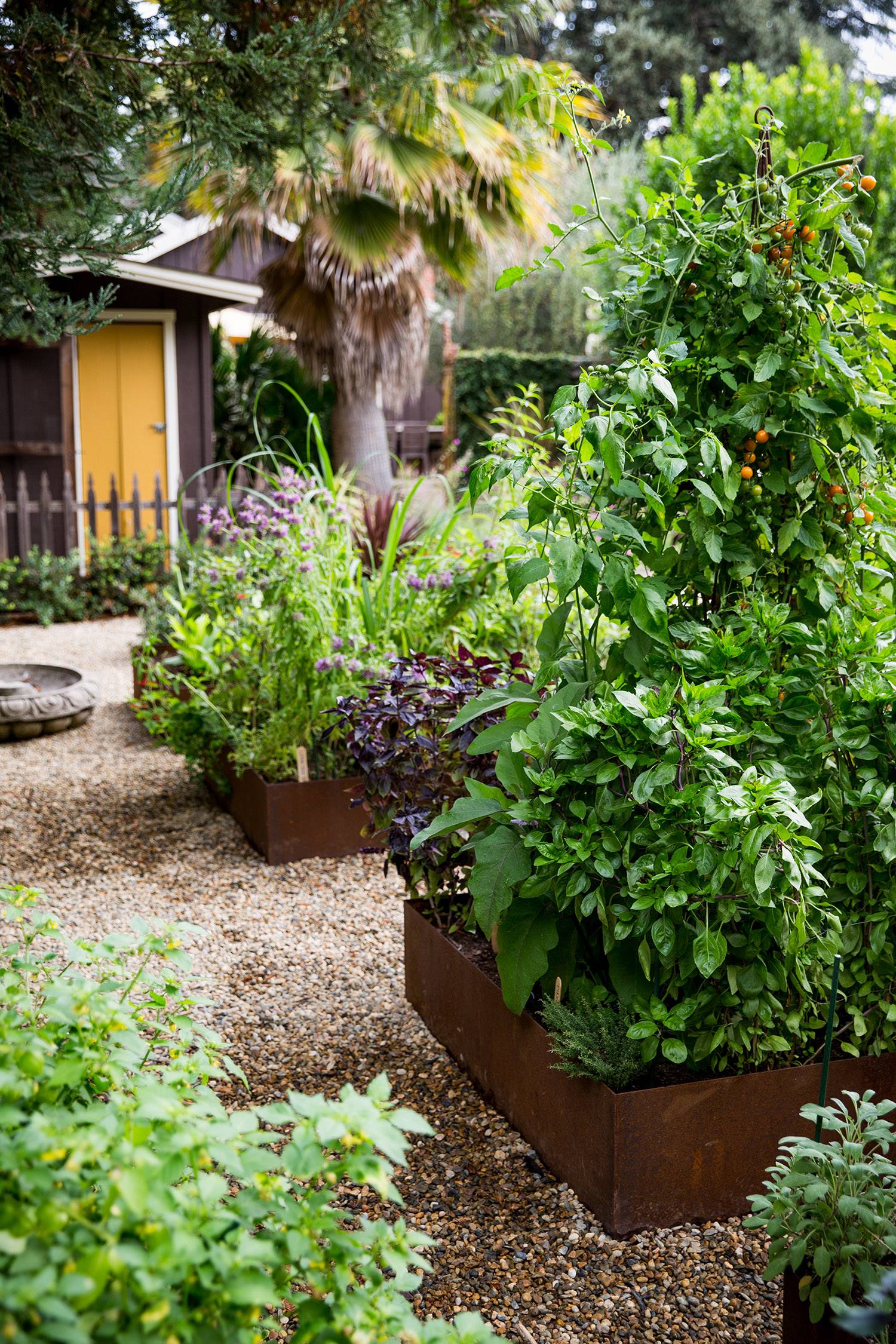 Modern Garden Idea Garden Design London