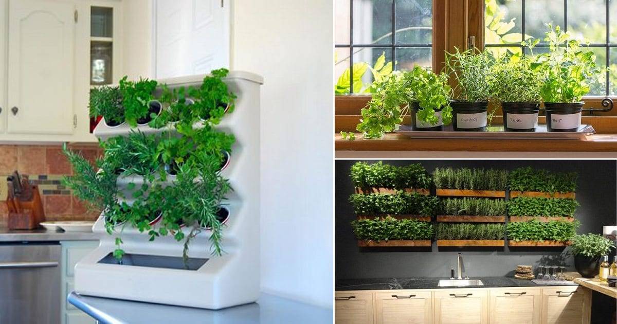 Amazing Indoor Kitchen Herb Gardens