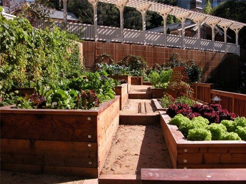A Kitchen Garden