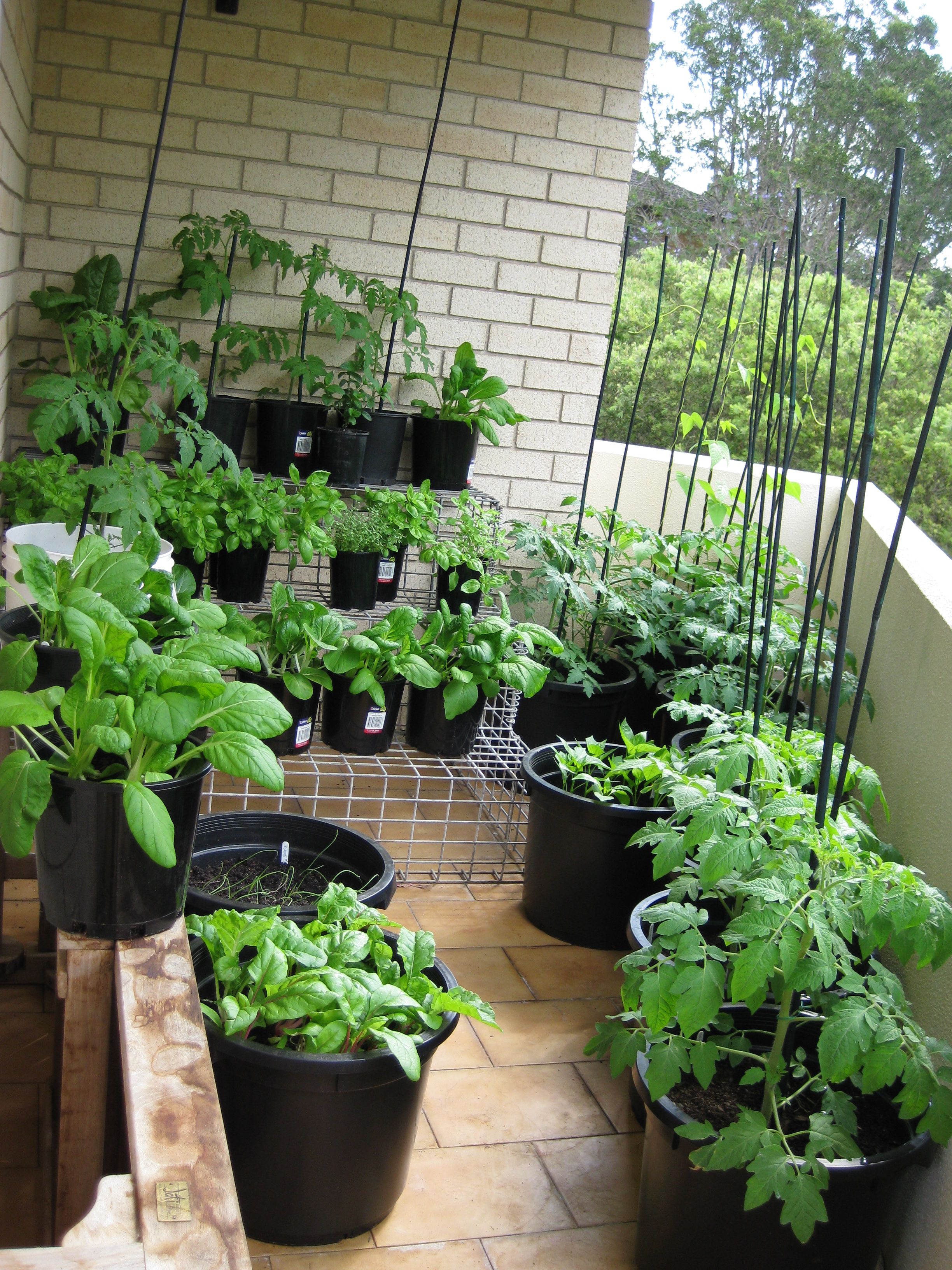 Small Kitchen Garden Ideas